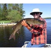 Andy Morlan's photo