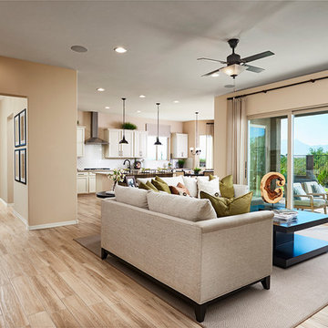 Delaney model home in Arizona