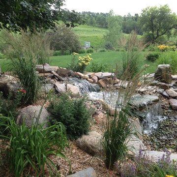 Water Features