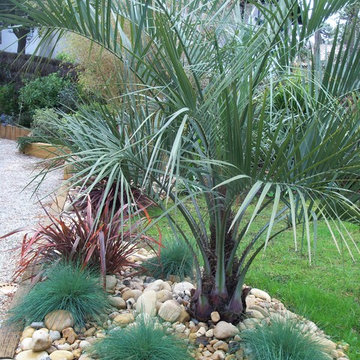 NOS JARDINS