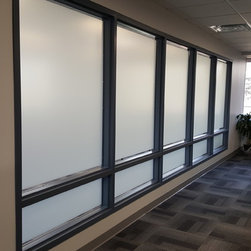 Film & Window Tint - Products