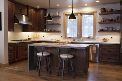 Inspiration for a kitchen remodel in Other