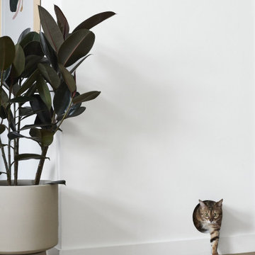 Prospect Heights Condo