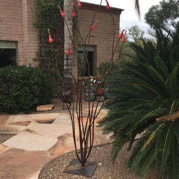 Ocotillo