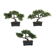 Bonsai