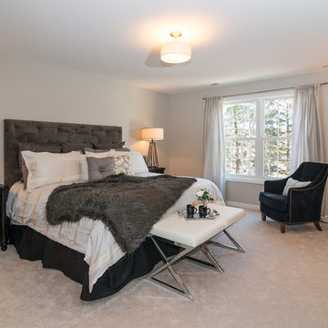 The Pimlico Model
