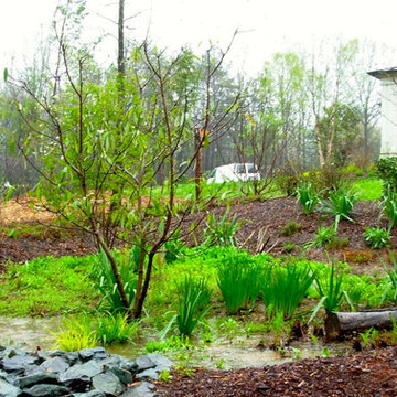 Green Springs: Growing a New Old Garden