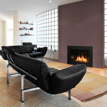 Ravenna CD - Gas Fireplace Insert by IronStrike