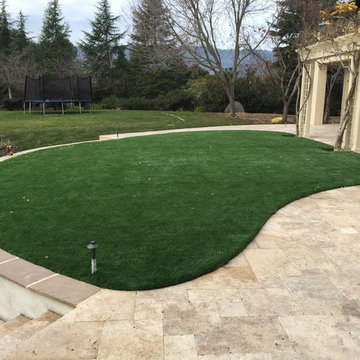 Artificial Grass