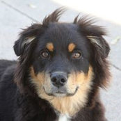 Debbie Wiens's photo