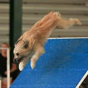 Cindy Glover's photo