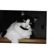 Jena Smith's photo