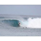 Brandon Gauthier's photo