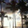 sandra_odell