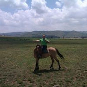 Tamer Azms foto