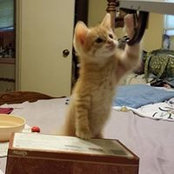 Lynda Bowman's photo