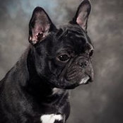 Kathy O'Deas foto