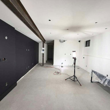 BASEMENT REMODEL - IN PROGRESS - EASTERLIN‘S RESIDENCE