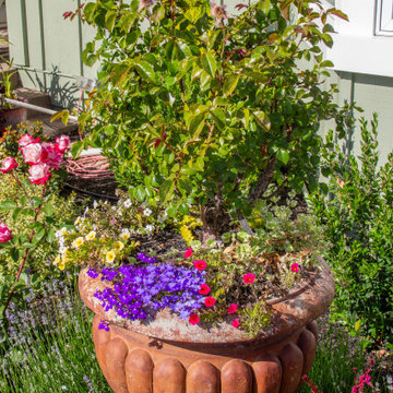 Project 6 - Planted Pot