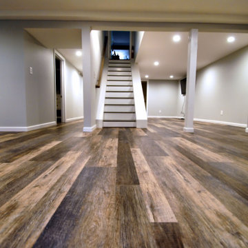 Dix Hills Basement