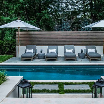 Hinsdale, IL Swimming Pool with attached hot tub