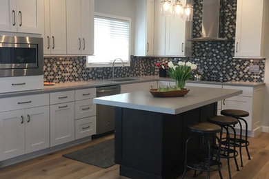 Kitchen - transitional kitchen idea in Cedar Rapids with shaker cabinets and stainless steel appliances