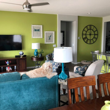 Litchfield Pk. AZ. interior paint consultation