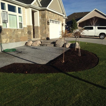 Recent Project