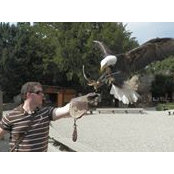 Albert BA's photo