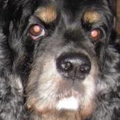 Kathy C Cooksey's photo