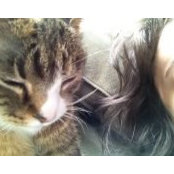 Mindy Worel's photo