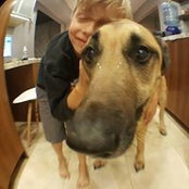 Ann Pesta's photo