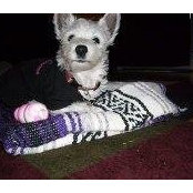 Andrew Schiedel's photo