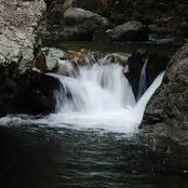 Clarisa Gil Batlle's photo