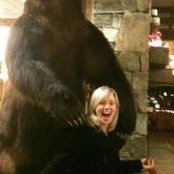 Lisa Moon's photo