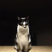 Denise Deverelle's photo