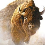 Morris Steckman's photo