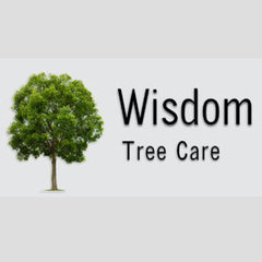 Wisdom Tree Care LLC