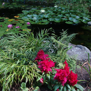 Ponds
