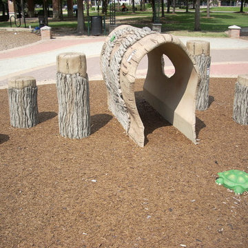 Climbing Trees and Rock Playground