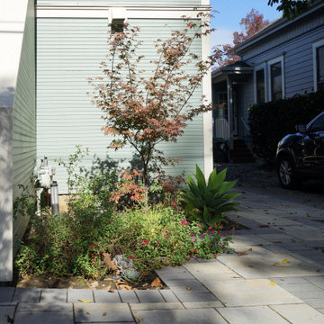 Accent Plants + Functional Paving