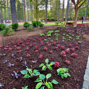 Spring and Summer Annuals Landscape Beds