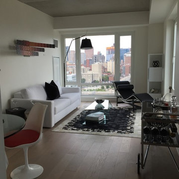 Living Room 1