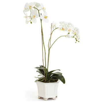 Barclay Butera White Orchid in Ceramic Pot, Pot: 10 X 10 X 6.5