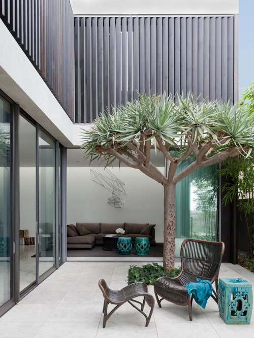 Tree In Courtyard Houzz