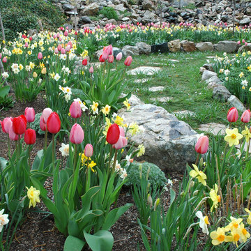 National Style Sandy Colorful Water Wise Front Yard