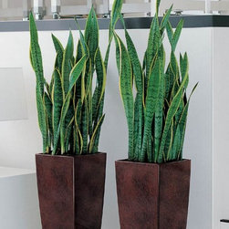 Modern Planter - Products