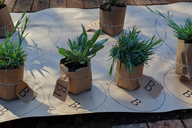 Design ideas for a traditional garden in Hamilton.