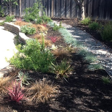 Lawn Conversion for an Entire Property