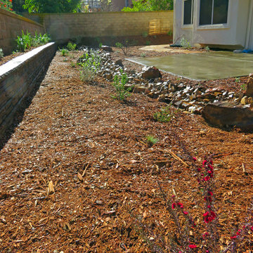 Drought Tolerant Landscape Mission Viejo